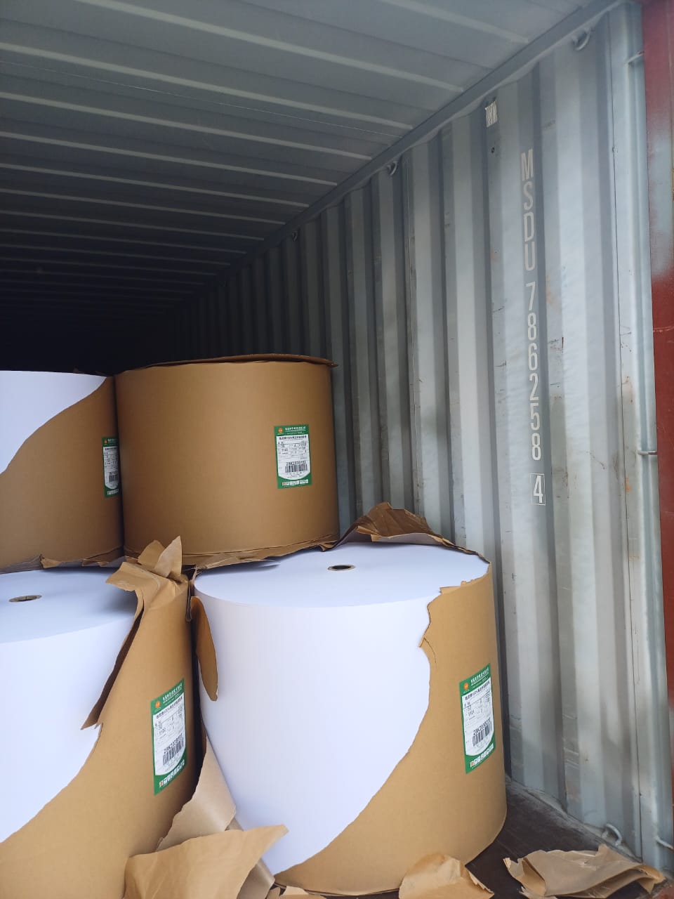 Paper Roll Import Consignment
