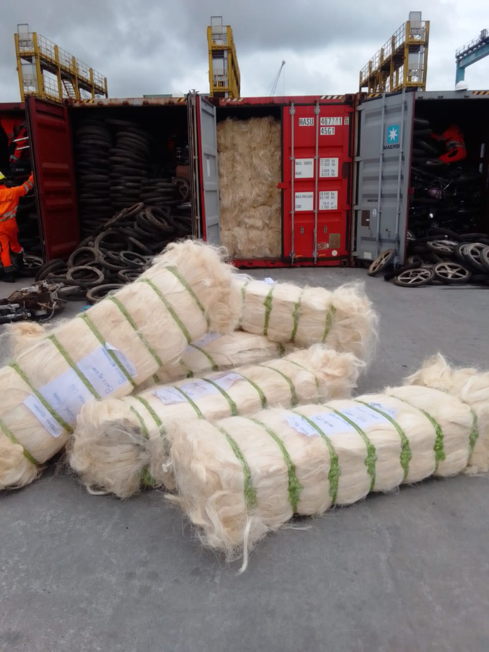 Bulk Fibre Export Consolidation